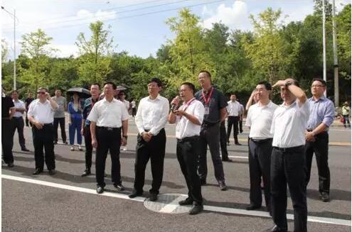 冰球突破豪华版大健康医药产业园迎来贵阳市半年经济工作会现场观摩组.jpg